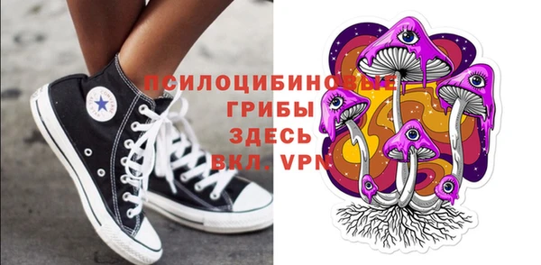 ПСИЛОЦИБИНОВЫЕ ГРИБЫ Аркадак