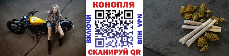 Марихуана тримм  Сухиничи 